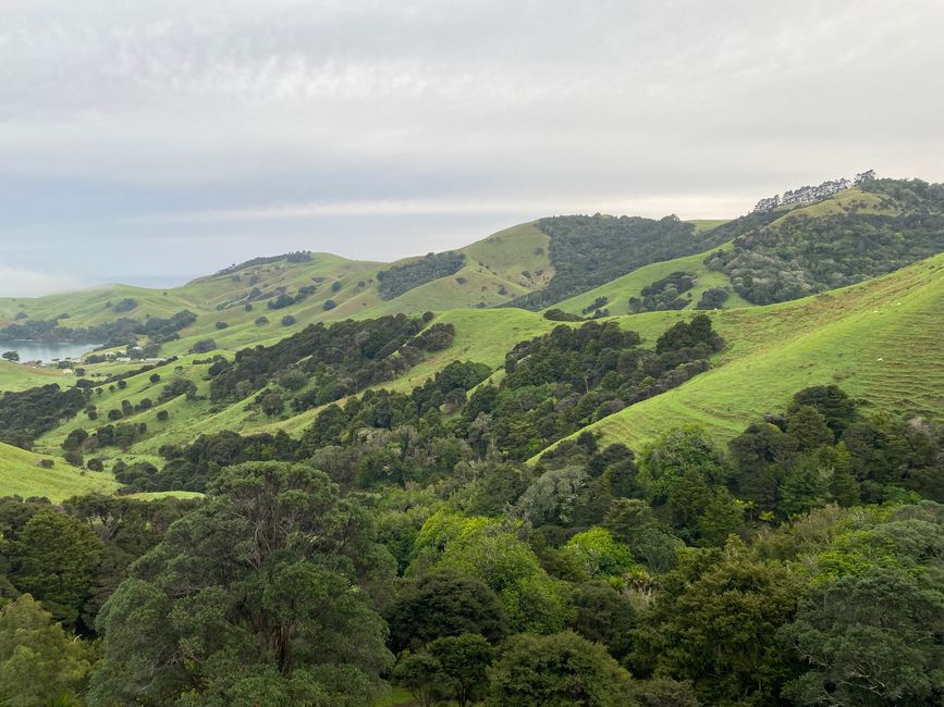Coromandel loop