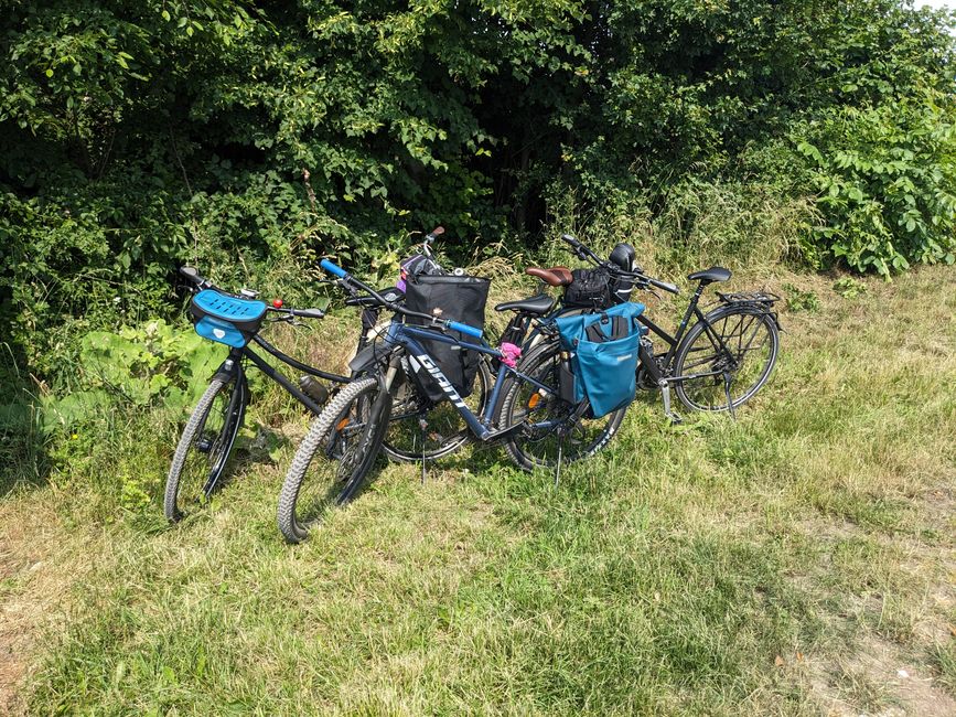 Probefahrt zum Geiseltalsee 