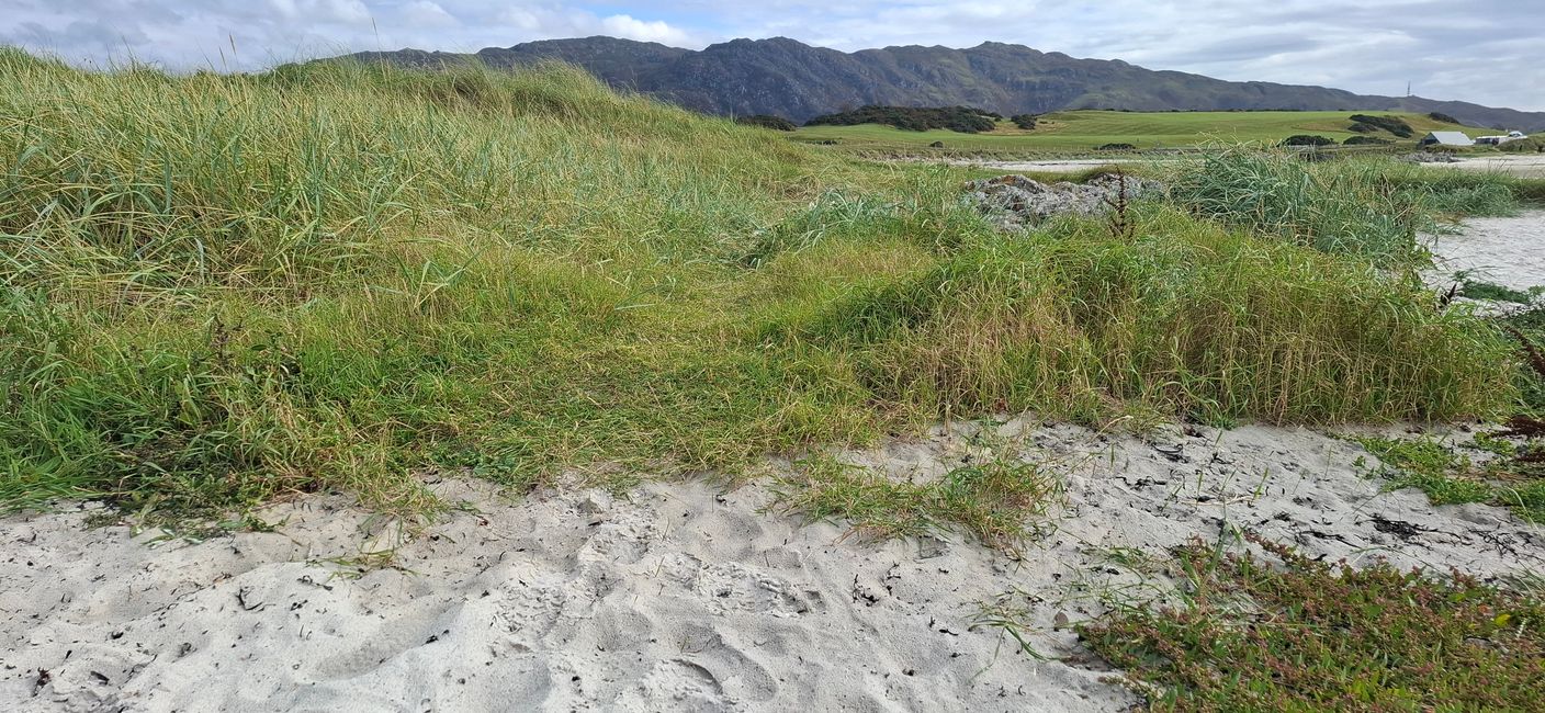 Tag 9 - Fort William <-> Mallaig