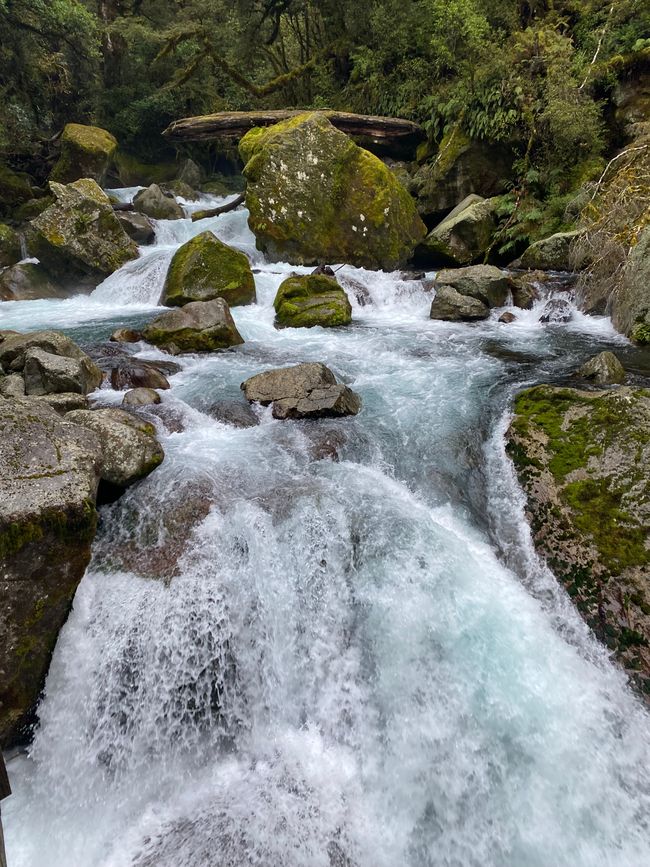 Road trip to Milford Sound
