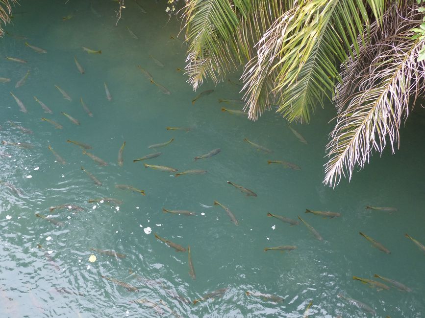 Brasil, Bonito