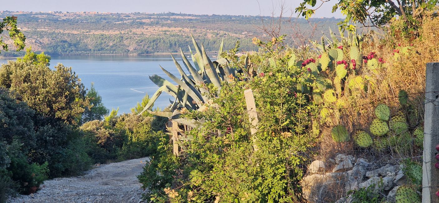 Morning walk near Posedarje