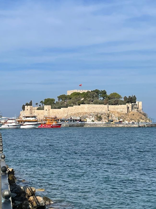 Etiqueta 4# Kusadasi, Costa Turca del Egeo