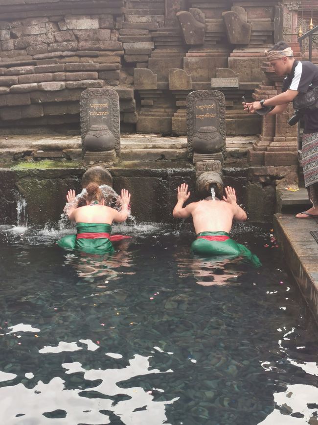 Excursión de un día a Ubud y Tegallalang