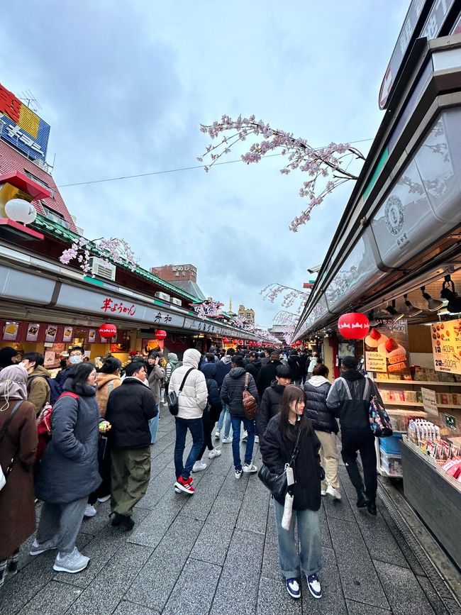 JAPAN — a different world 🇯🇵 Tokyo Part 1