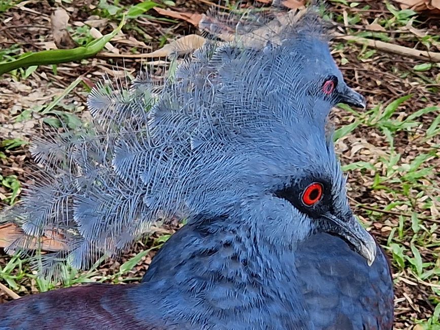 Bird Park