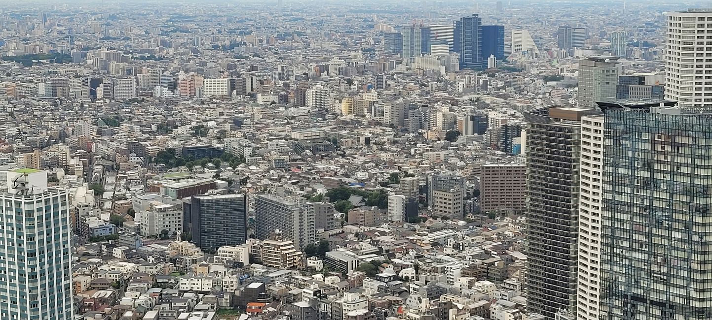 Tag 16. Kamakura und Tokio