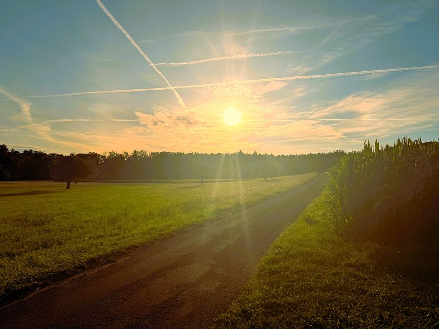 Der Sonne entgegen