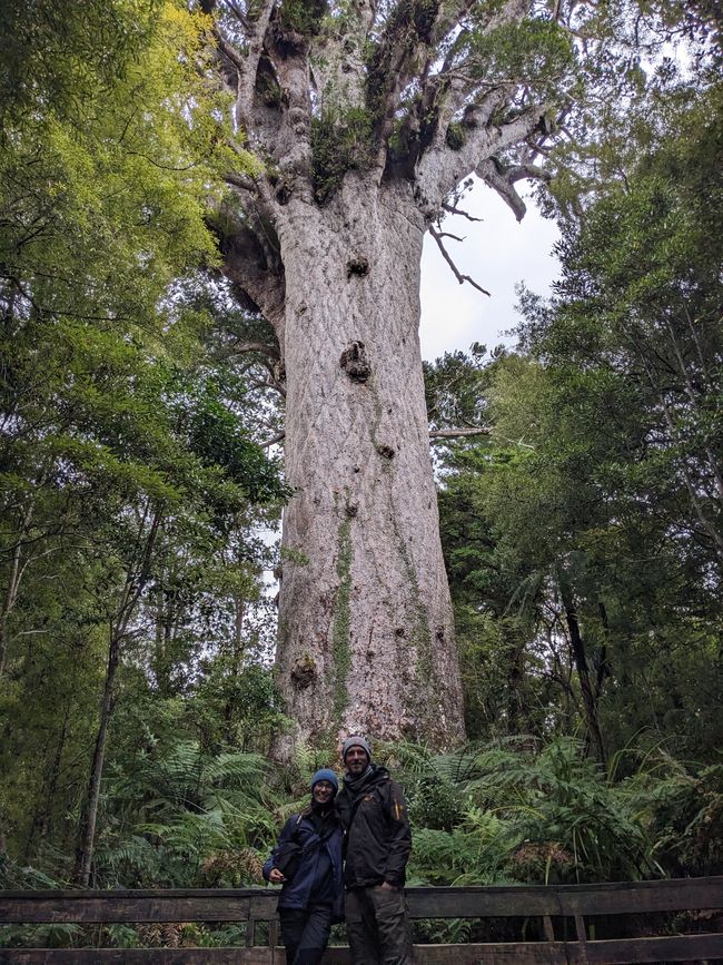 Us in front of Tāne Mahuta, the largest Kauri tree in the world.