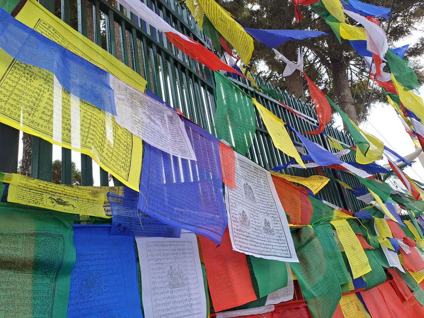 Each color of the Buddhist prayer flags has a specific meaning.