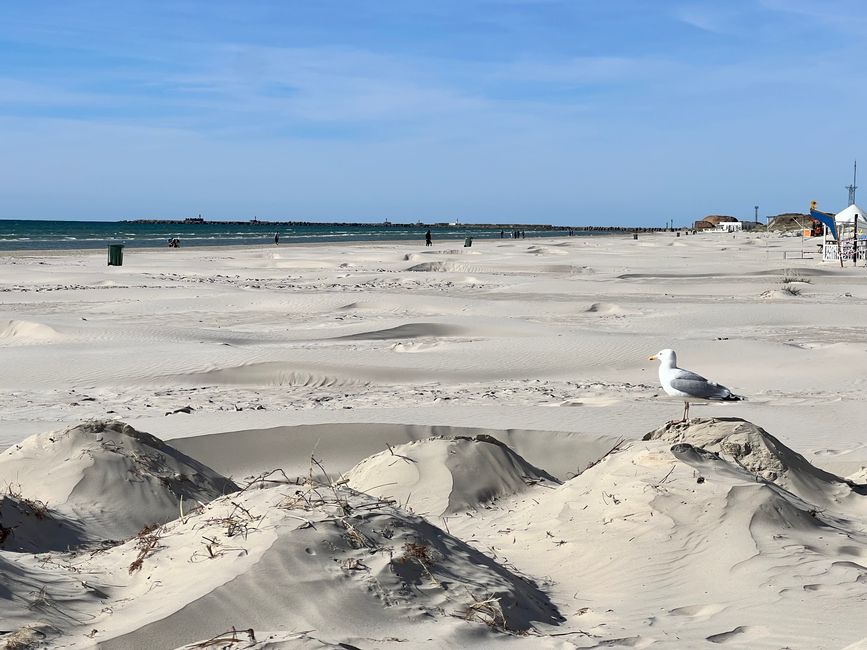 19 nach Liepãja