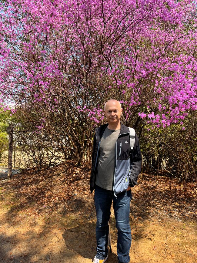 Kyoto-Domingo-06.04.25