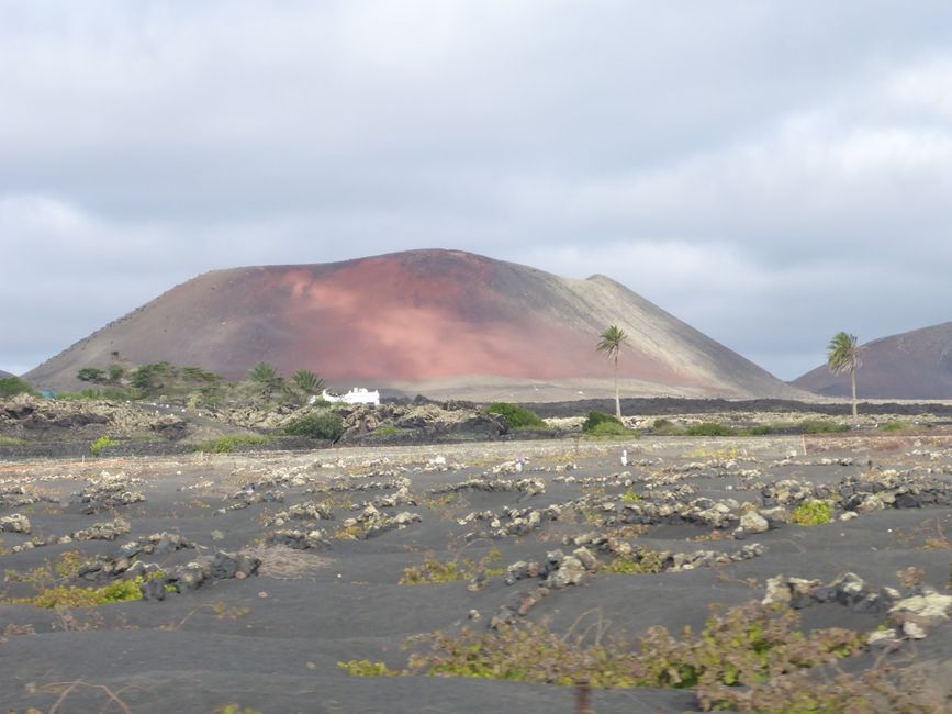Lanzarote