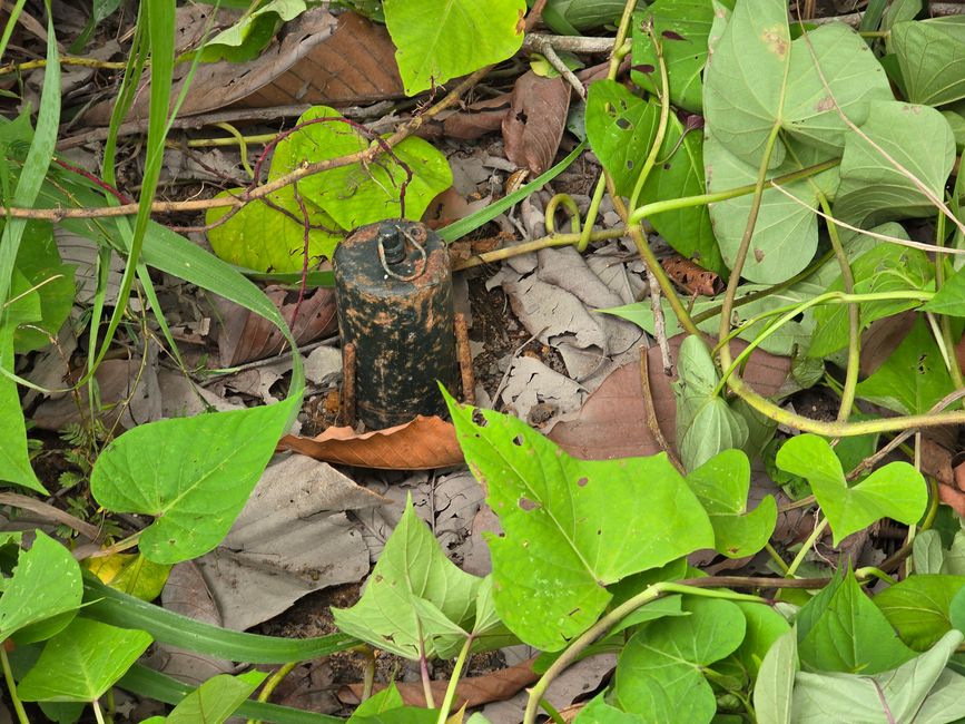Aki Ra's Cambodia Landmine Museum
