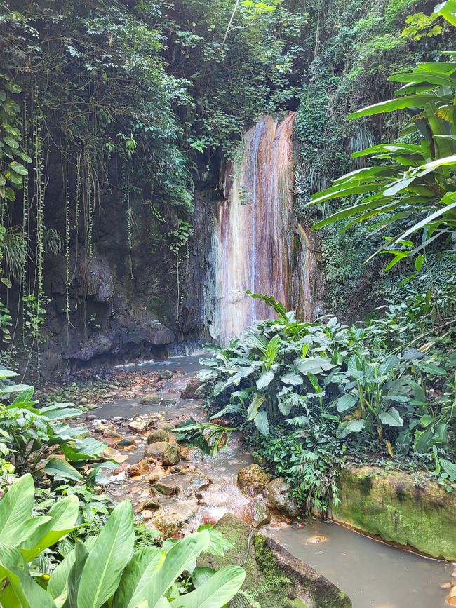 Giardino Botanico 