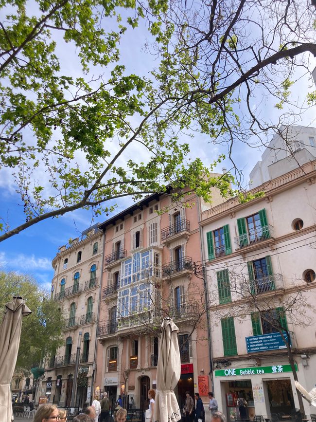 In Soller …finde ich den Mann für‘s Leben