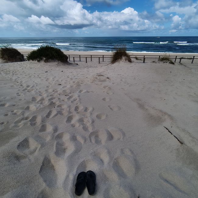 Aveiro -> Praia da Costa Nova
