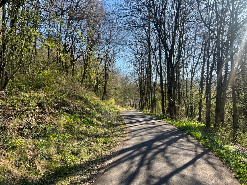 06 verso Northeim
