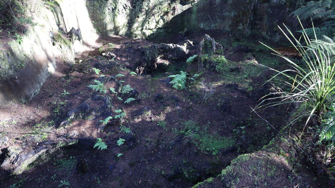 Gumdiggers Park - klassisches Loch, in dem nach Kauri Bernstein gegraben wurde