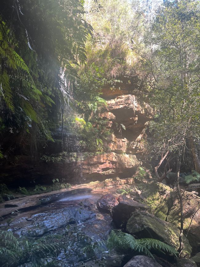 Great Canyon Track