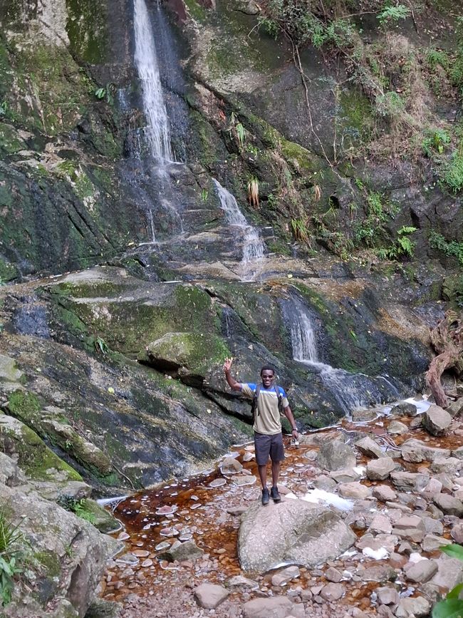 Sendero Constantia y bosque de Newlands