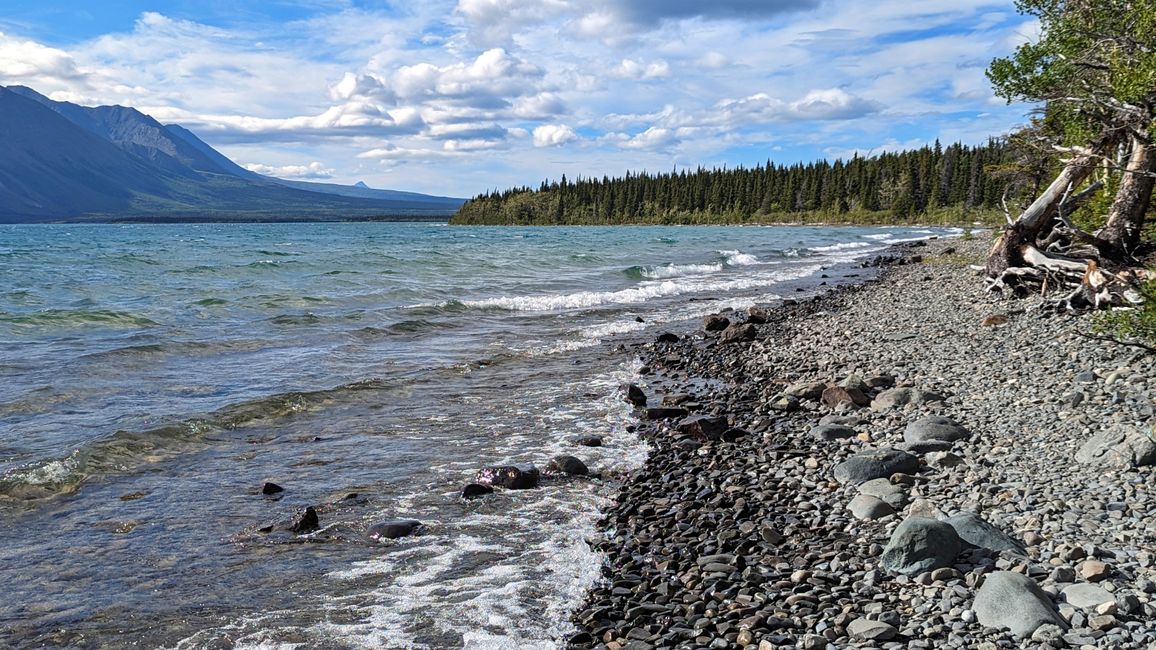 Tag 27: Bärenshow & fantastische Bergwelten - zurück nach Yukon/Kanada