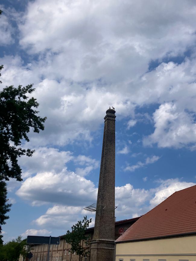Caryatids and a very personal tour at
"Gut Boltenhof"
in Brandenburg