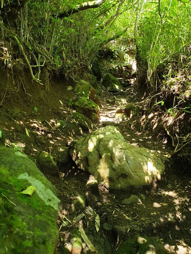 Weiterhin ein steiniger Weg