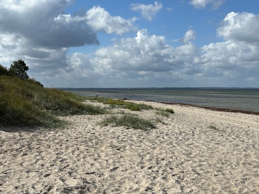 Vom Darß nach Wismar 