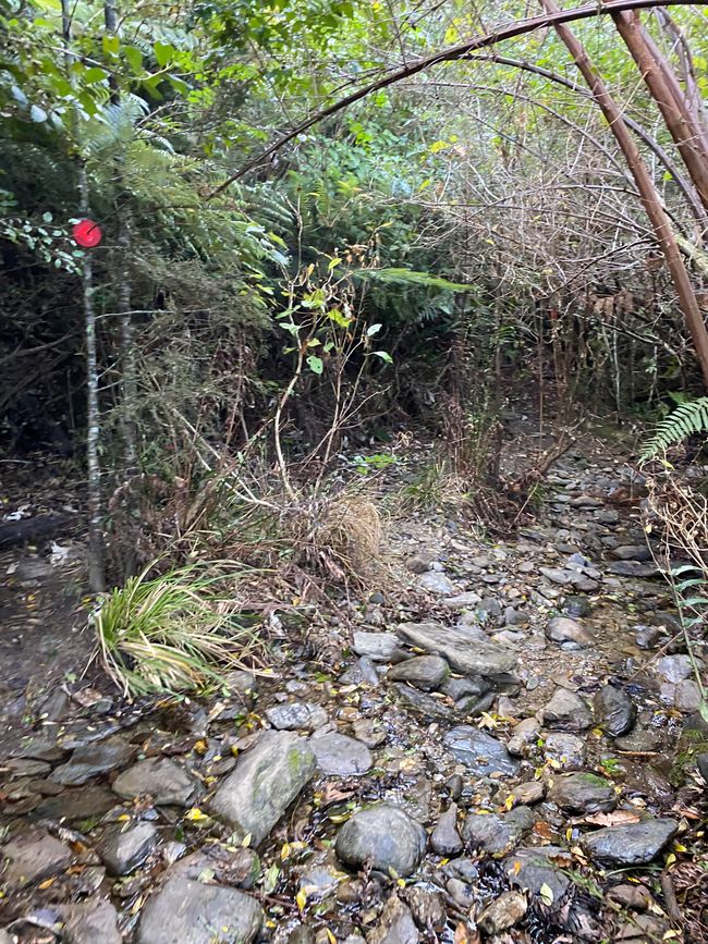 Waterfall Track 