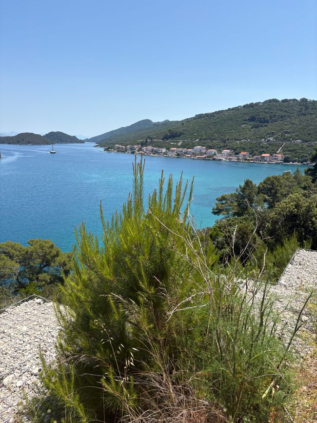 Radfahren auf Mljet