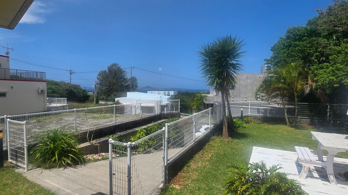 Okinawa Nuchi du takara (Life is the very thing we treasure)