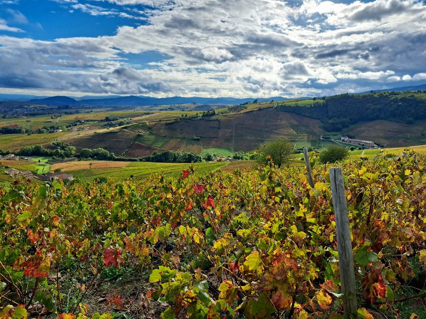 Evening atmosphere over Beaujolais