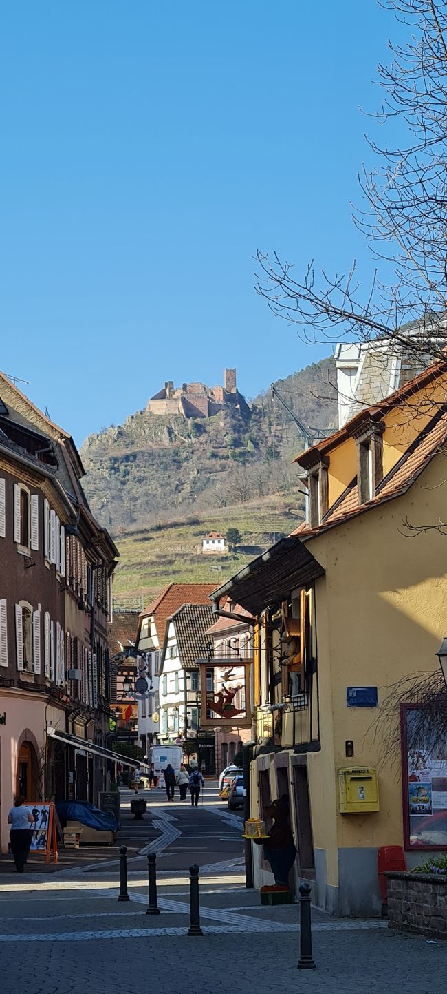 Ausflug nach Ribeauvillé