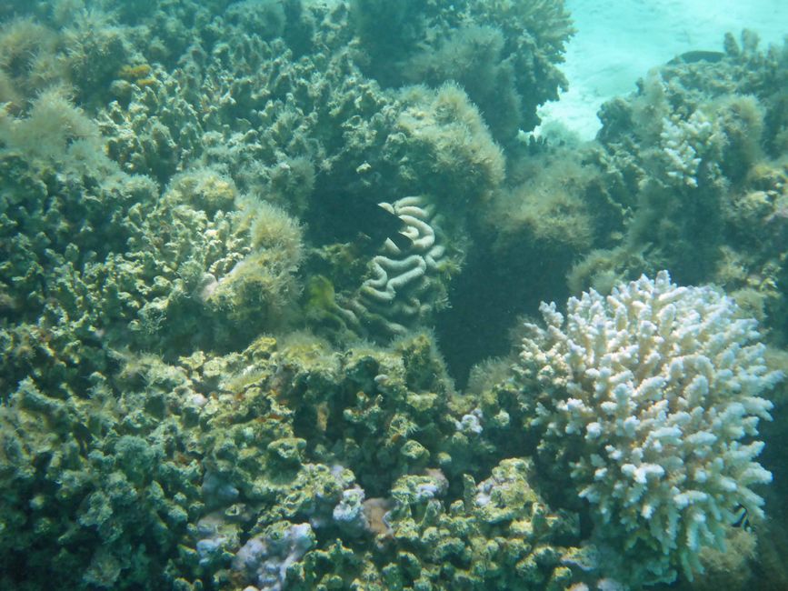 Arutanga - Aitutaki (Isole Cook)