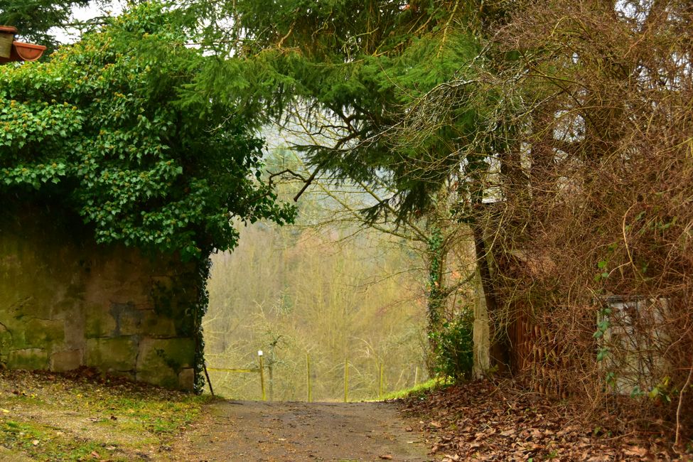 S T A U F E R Z E I T 
     
U N D

S E E I D Y L L E : ein Tag im Kloster Adelberg
