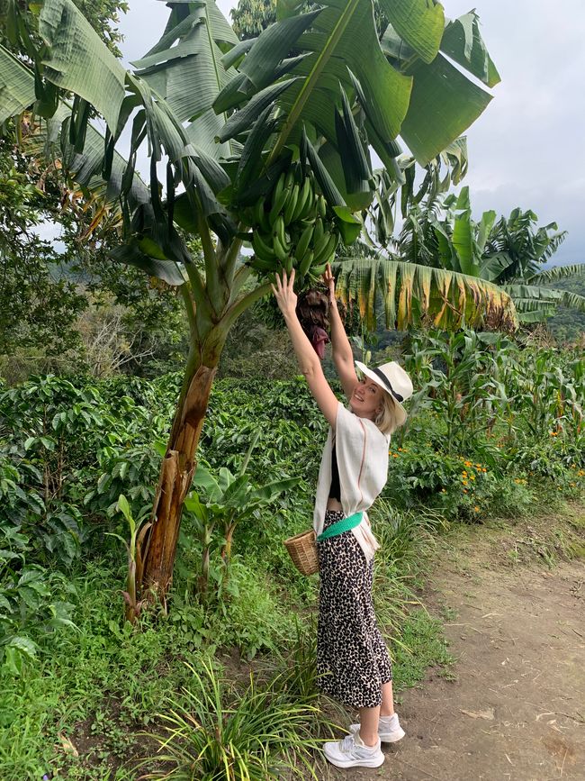 Tini在香蕉天堂中 🍌