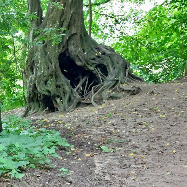 Südschweden-Tour  - Tag 28