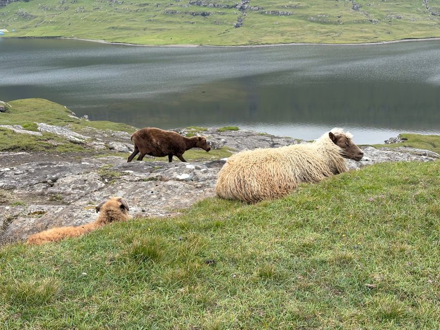 Dos cascadas en Vágar