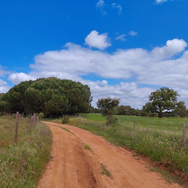 Cercal de Alentejo -> Vale Seco