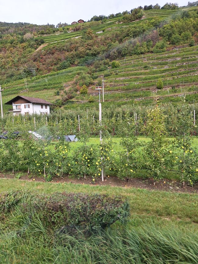 Calabria/Italy