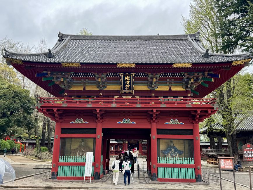 Parte 7
BENVENUTO IN GIAPPONE 🇯🇵
TOKYO