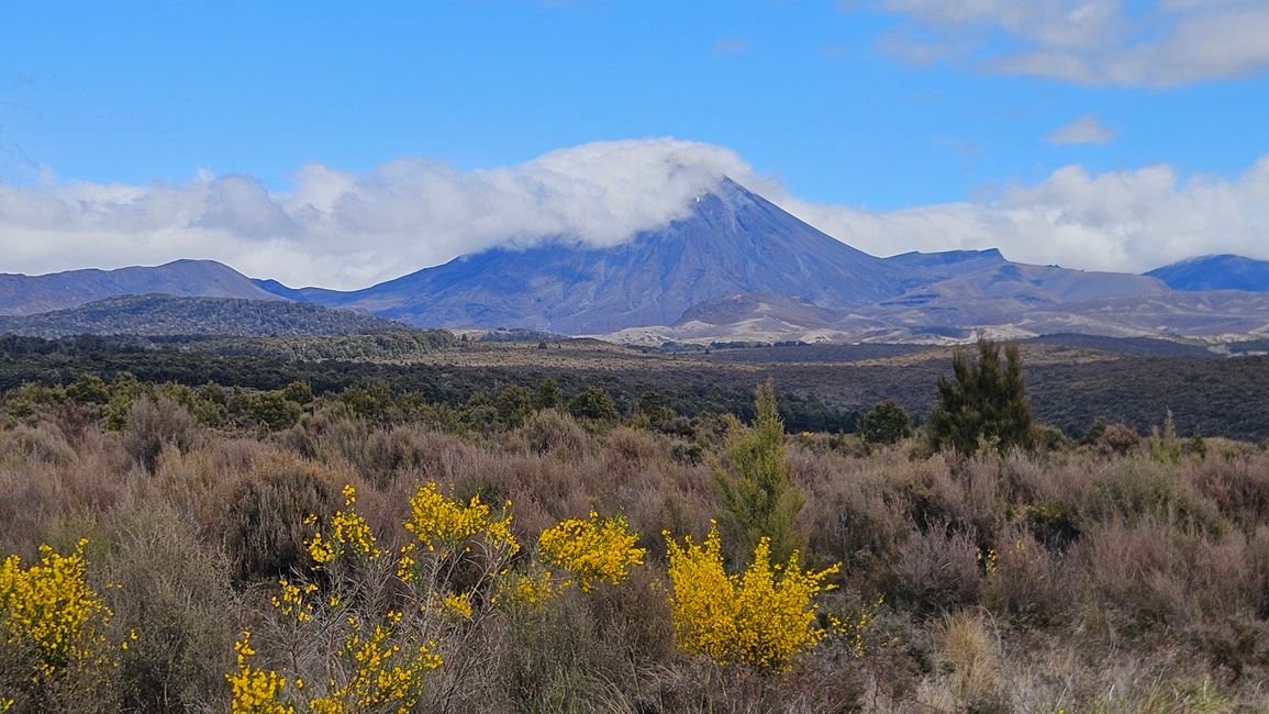 Strada del Deserto