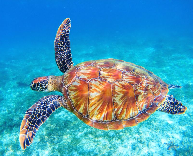 unsere-reise-nach-australien