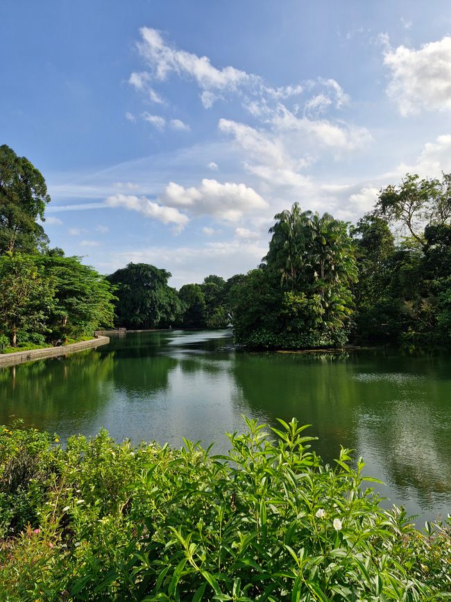Kleiner Teich - leider ohne Otter