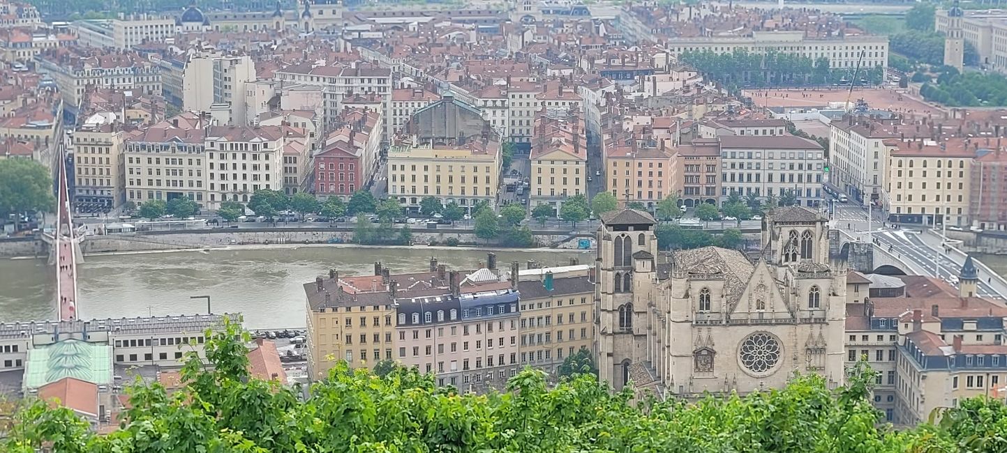 Lione