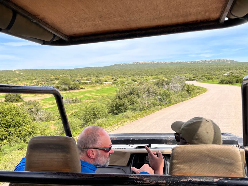 Addo Elephant Park