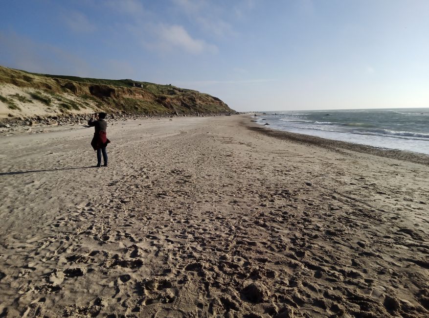 Hirtshals