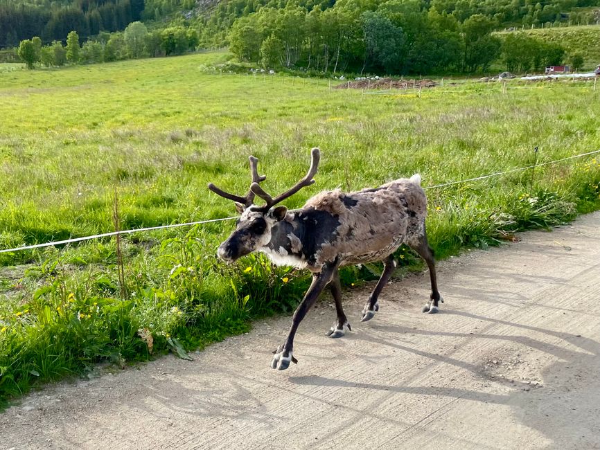 Short surprise about the terrain… 