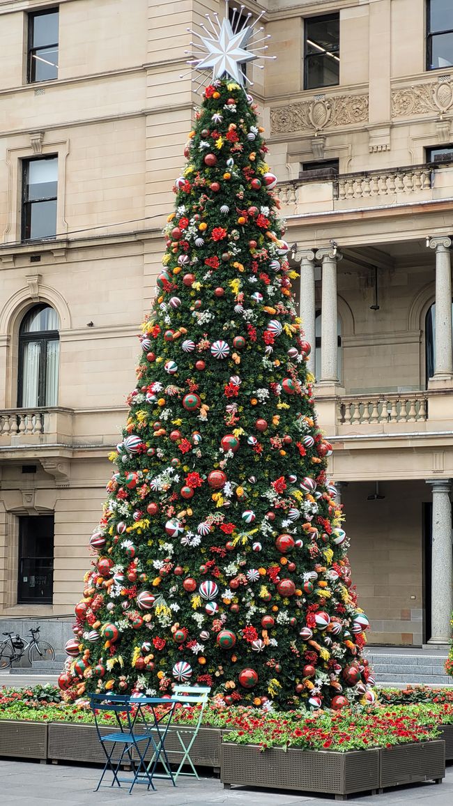 Merry Christmas (ob man will oder nicht) und mehr in Sydney